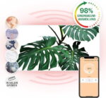 Klarstein Wonderwall Art Smart 700W